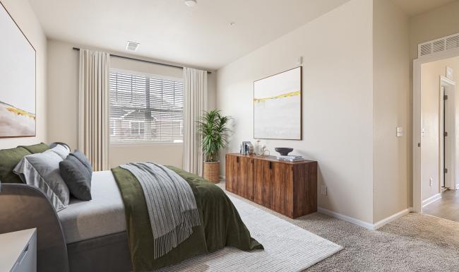 a bedroom with a bed and a plant and a window